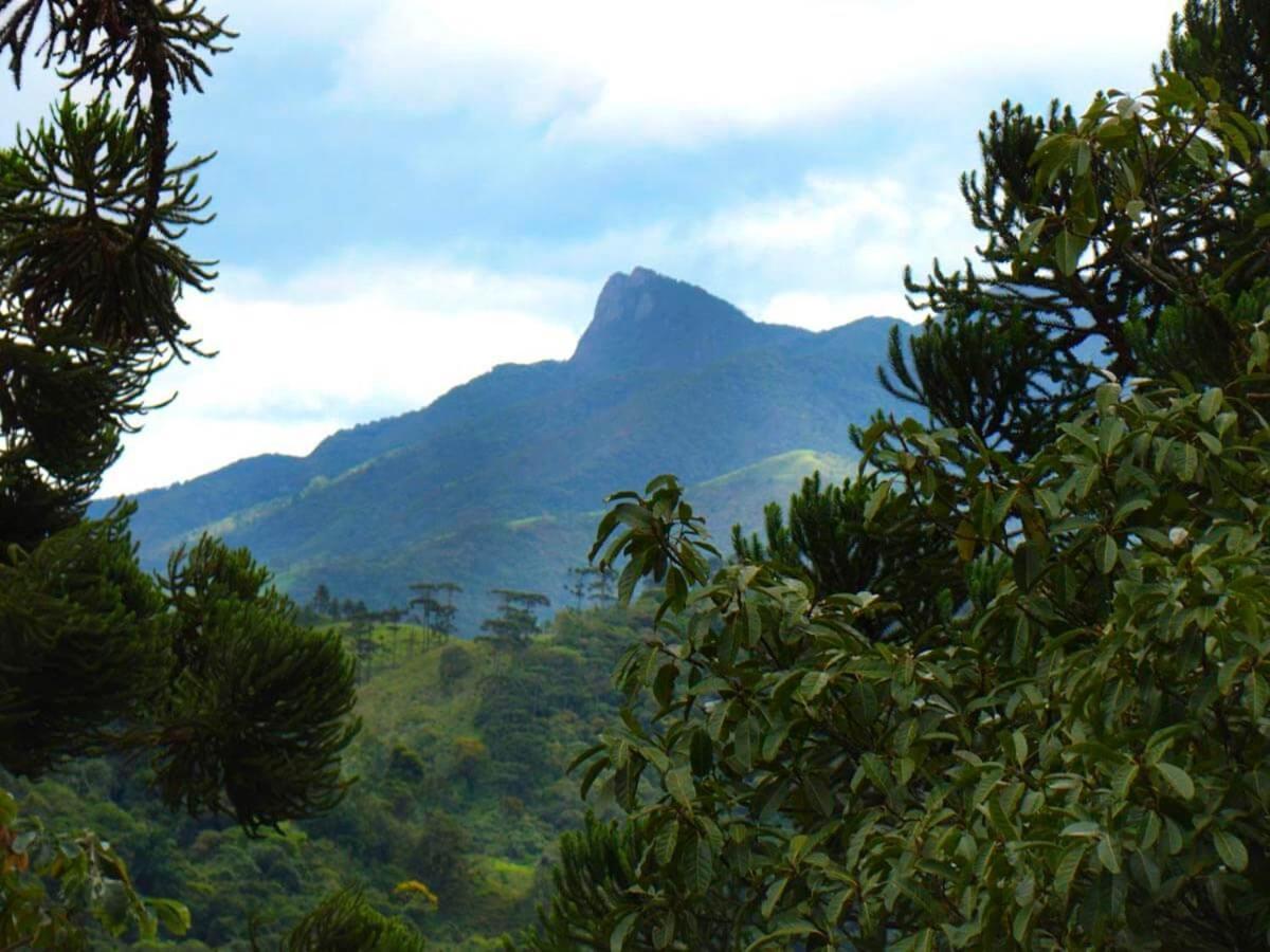 Vila Chale Rosa Resende Exteriér fotografie